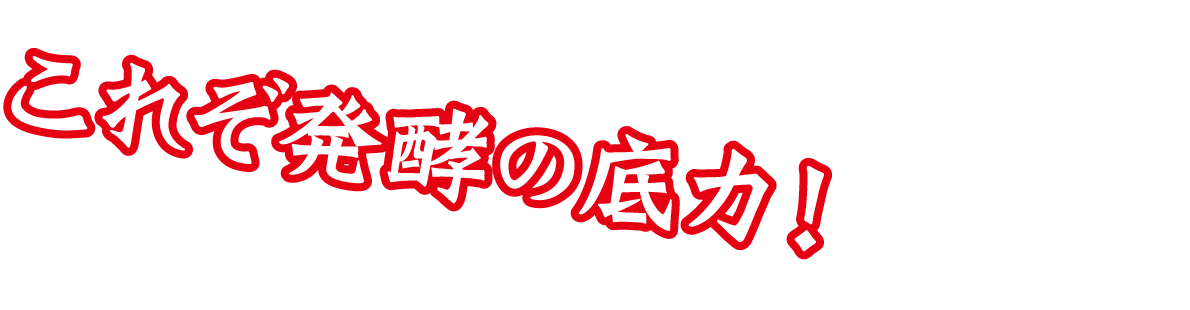 これぞ発酵の底力！